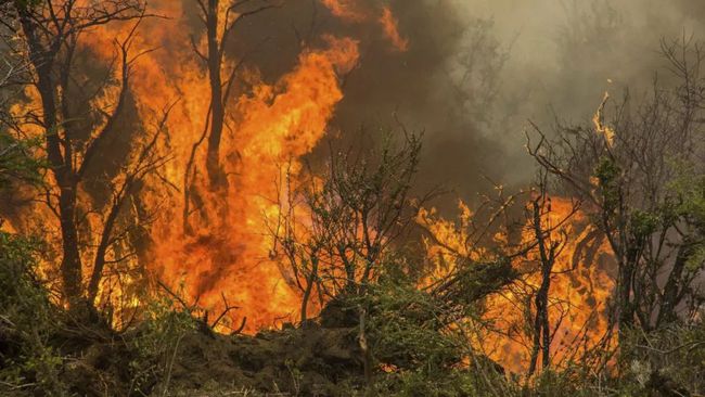 雷声再闻！美国西部雷暴频频引发山火