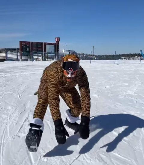 特技滑雪：瑞士选手勇夺金牌